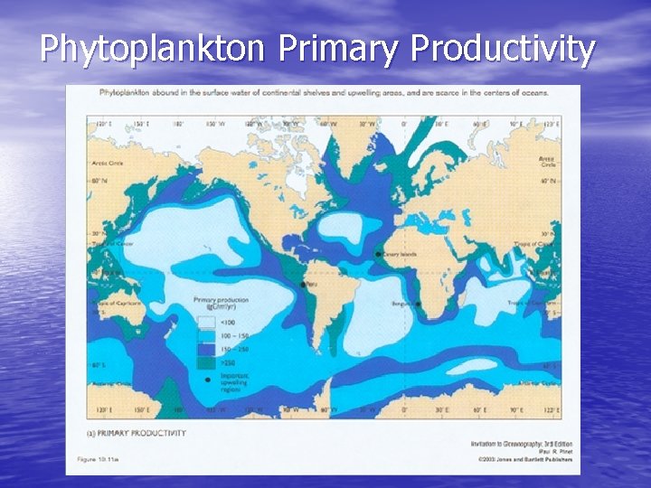 Phytoplankton Primary Productivity 