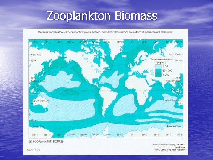 Zooplankton Biomass 
