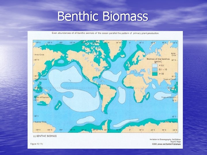 Benthic Biomass 