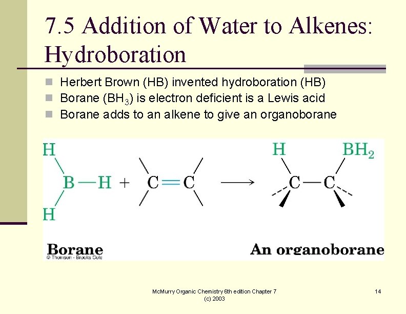 7. 5 Addition of Water to Alkenes: Hydroboration n Herbert Brown (HB) invented hydroboration