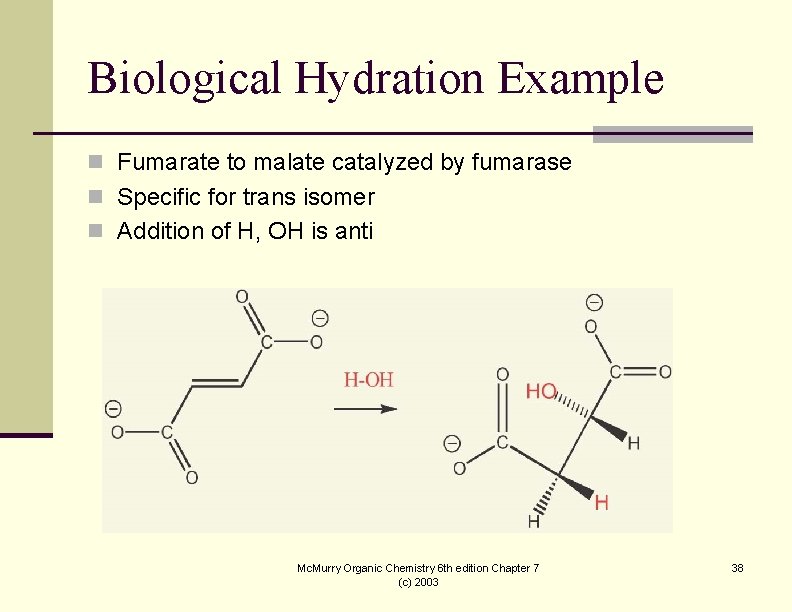 Biological Hydration Example n Fumarate to malate catalyzed by fumarase n Specific for trans