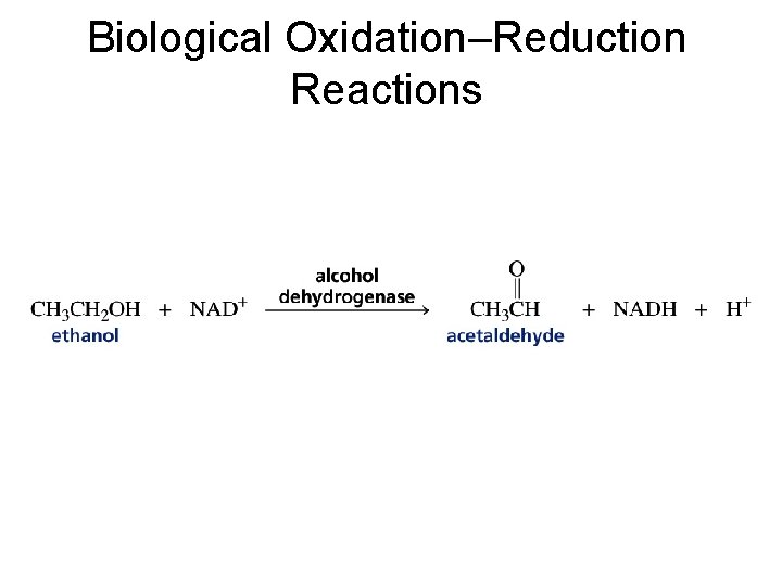 Biological Oxidation–Reduction Reactions 