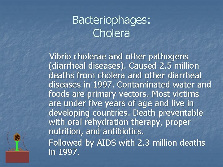 Bacteriophages: Cholera Vibrio cholerae and other pathogens (diarrheal diseases). Caused 2. 5 million deaths