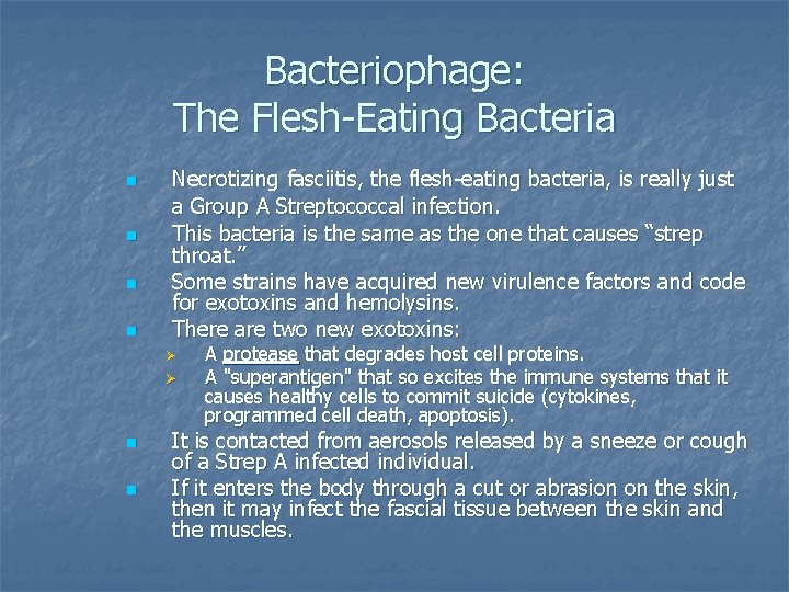 Bacteriophage: The Flesh-Eating Bacteria n n Necrotizing fasciitis, the flesh-eating bacteria, is really just