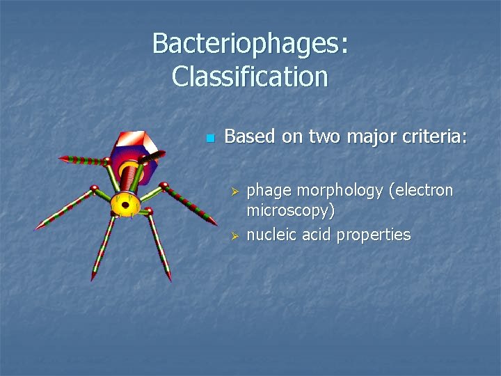 Bacteriophages: Classification n Based on two major criteria: Ø Ø phage morphology (electron microscopy)