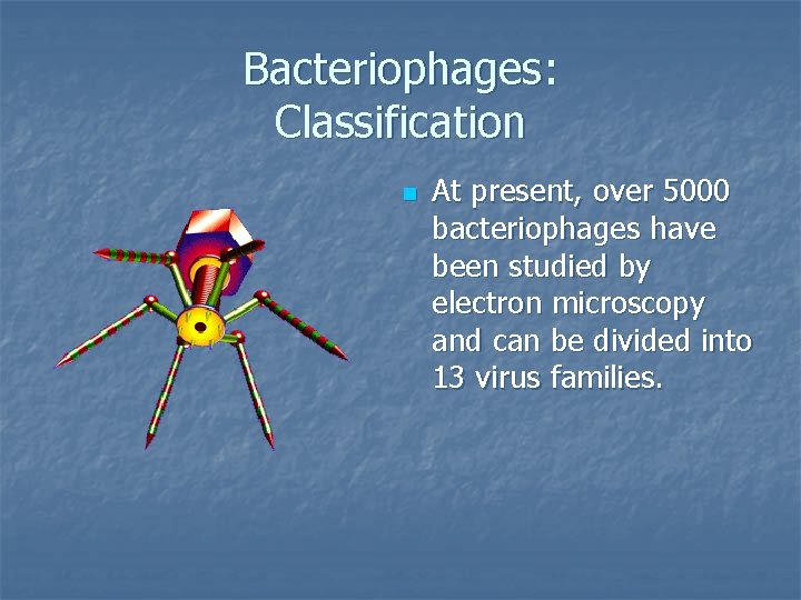 Bacteriophages: Classification n At present, over 5000 bacteriophages have been studied by electron microscopy