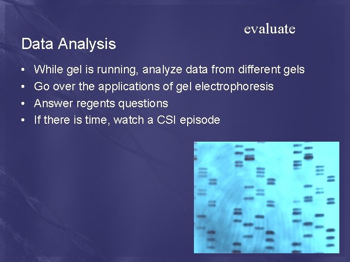 Data Analysis • • evaluate While gel is running, analyze data from different gels