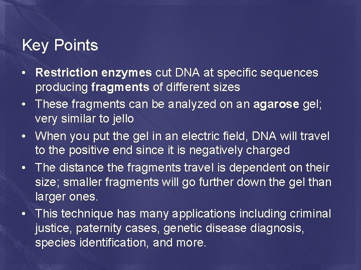 Key Points • Restriction enzymes cut DNA at specific sequences producing fragments of different