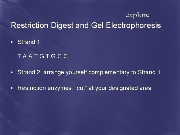 explore Restriction Digest and Gel Electrophoresis • Strand 1: T A A T G