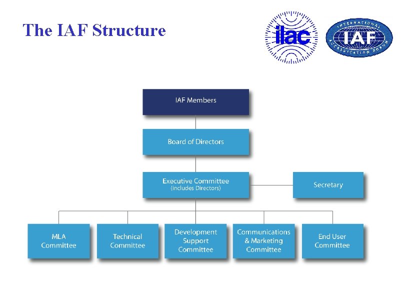 The IAF Structure 