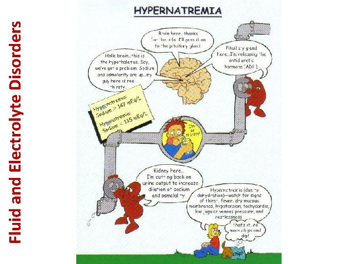 Fluid and Electrolyte Disorders 