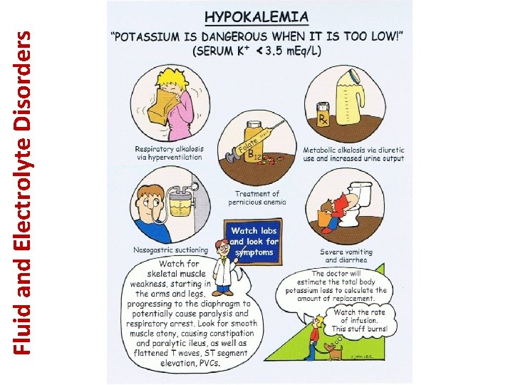 Fluid and Electrolyte Disorders 