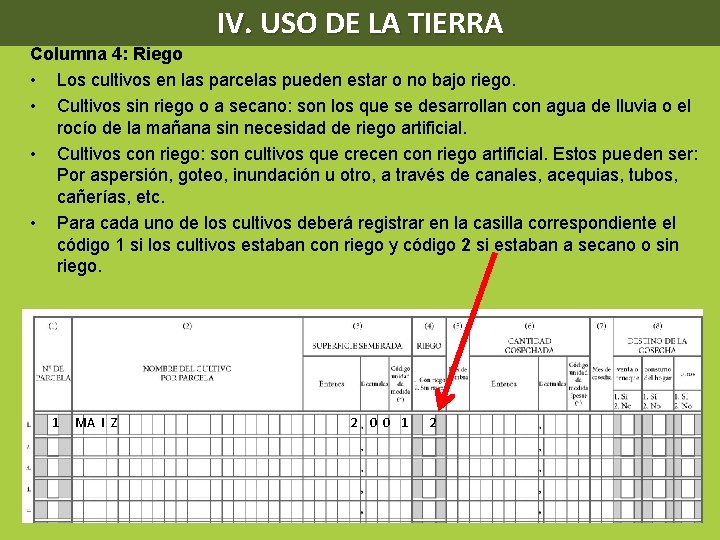 IV. USO DE LA TIERRA Columna 4: Riego • Los cultivos en las parcelas
