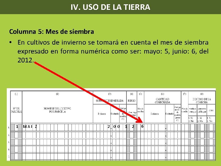 IV. USO DE LA TIERRA Columna 5: Mes de siembra • En cultivos de