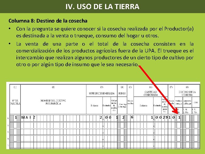 IV. USO DE LA TIERRA Columna 8: Destino de la cosecha • Con la