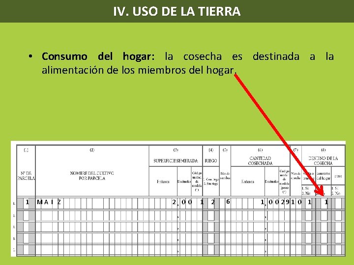 IV. USO DE LA TIERRA • Consumo del hogar: la cosecha es destinada a
