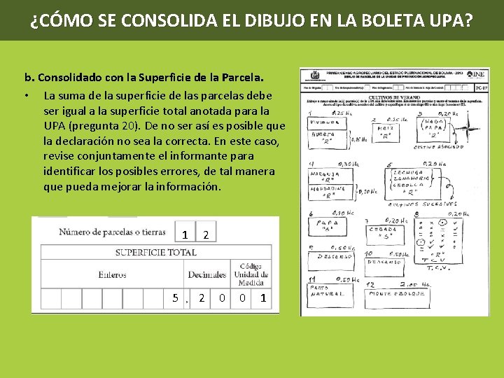 ¿CÓMO SE CONSOLIDA EL DIBUJO EN LA BOLETA UPA? b. Consolidado con la Superficie