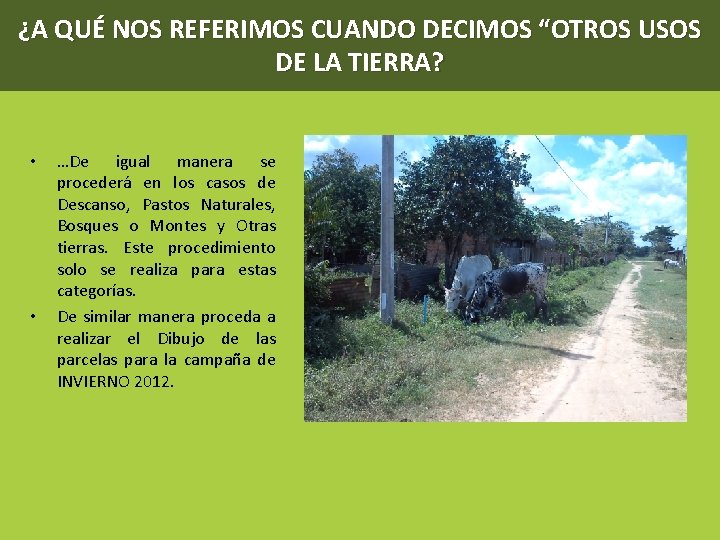 ¿A QUÉ NOS REFERIMOS CUANDO DECIMOS “OTROS USOS DE LA TIERRA? • • …De
