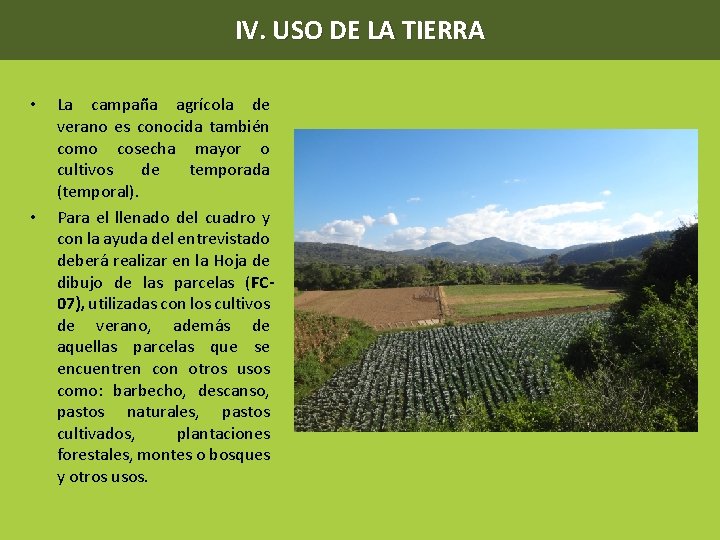 IV. USO DE LA TIERRA • • La campaña agrícola de verano es conocida