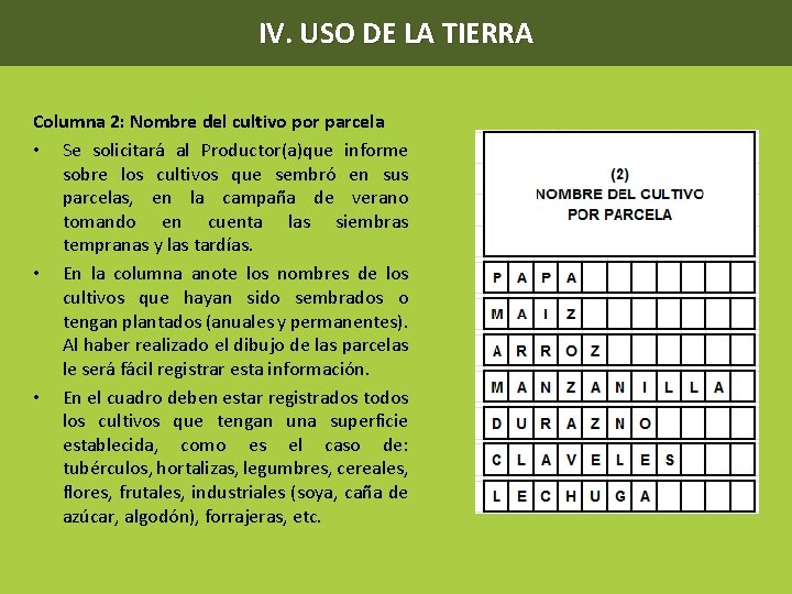 IV. USO DE LA TIERRA Columna 2: Nombre del cultivo por parcela • Se