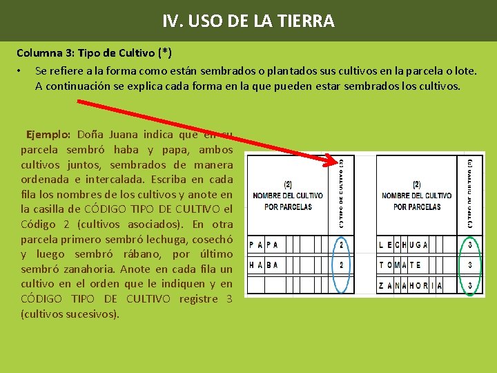 IV. USO DE LA TIERRA Columna 3: Tipo de Cultivo (*) • Se refiere