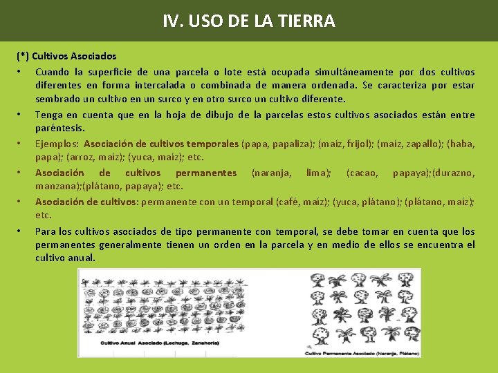 IV. USO DE LA TIERRA (*) Cultivos Asociados • Cuando la superficie de una