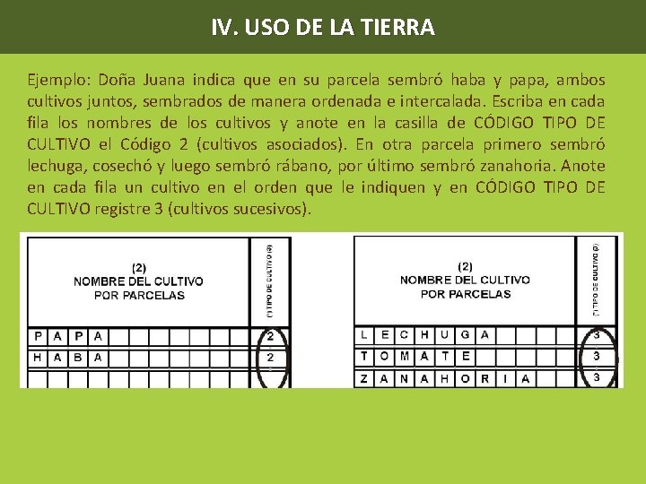 IV. USO DE LA TIERRA Ejemplo: Doña Juana indica que en su parcela sembró