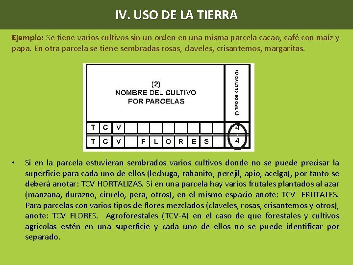 IV. USO DE LA TIERRA Ejemplo: Se tiene varios cultivos sin un orden en