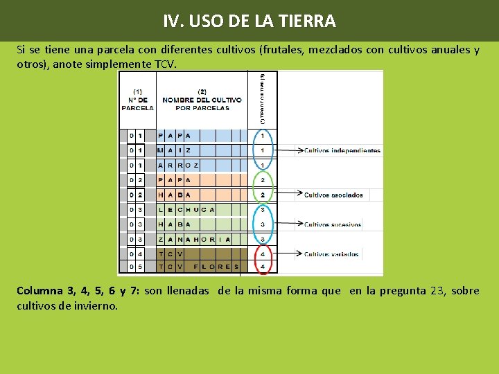 IV. USO DE LA TIERRA Si se tiene una parcela con diferentes cultivos (frutales,