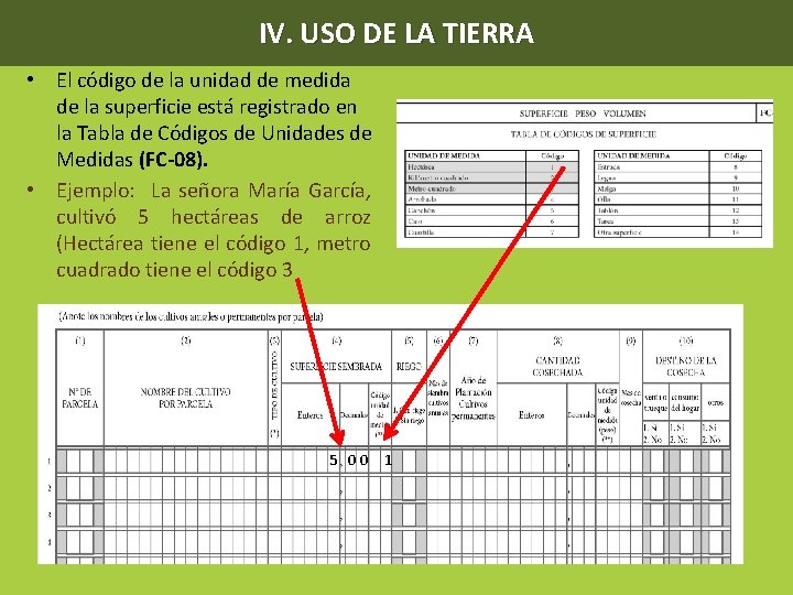 IV. USO DE LA TIERRA • El código de la unidad de medida de