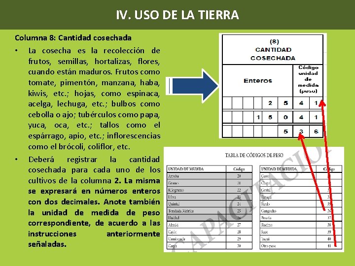 IV. USO DE LA TIERRA Columna 8: Cantidad cosechada • La cosecha es la