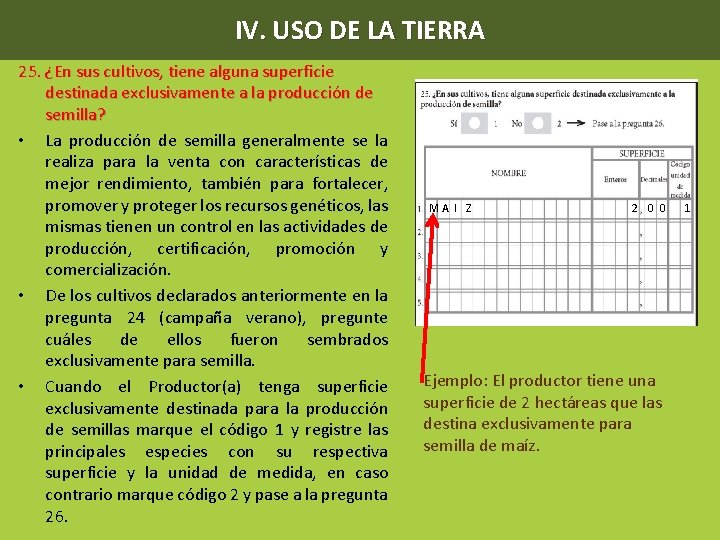 IV. USO DE LA TIERRA 25. ¿En sus cultivos, tiene alguna superficie destinada exclusivamente