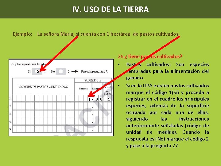 IV. USO DE LA TIERRA Ejemplo: La señora María, si cuenta con 1 hectárea