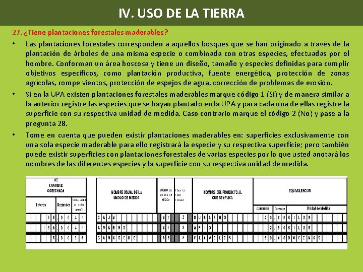 IV. USO DE LA TIERRA 27. ¿Tiene plantaciones forestales maderables? • Las plantaciones forestales