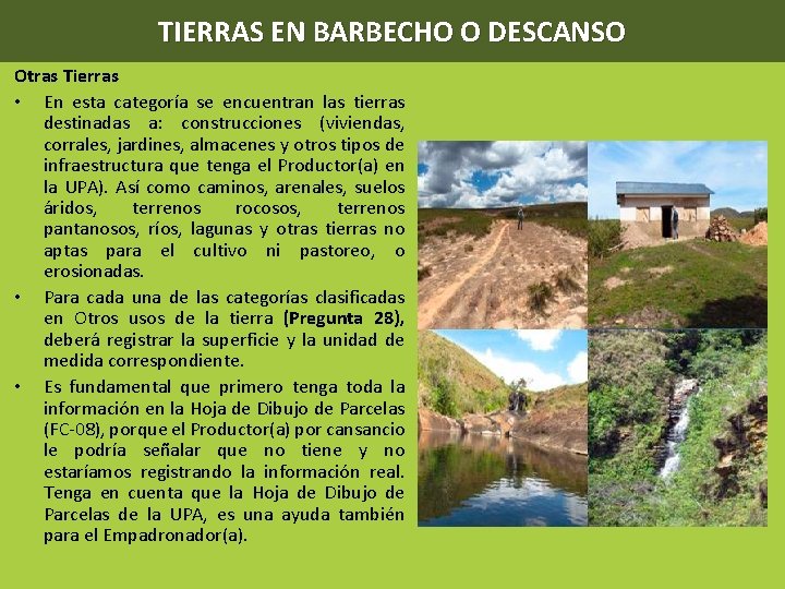 TIERRAS EN BARBECHO O DESCANSO Otras Tierras • En esta categoría se encuentran las