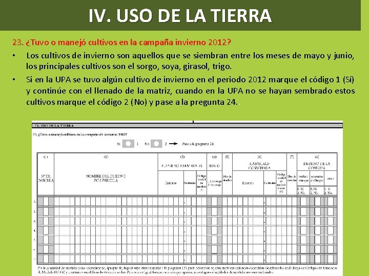 IV. USO DE LA TIERRA 23. ¿Tuvo o manejó cultivos en la campaña invierno