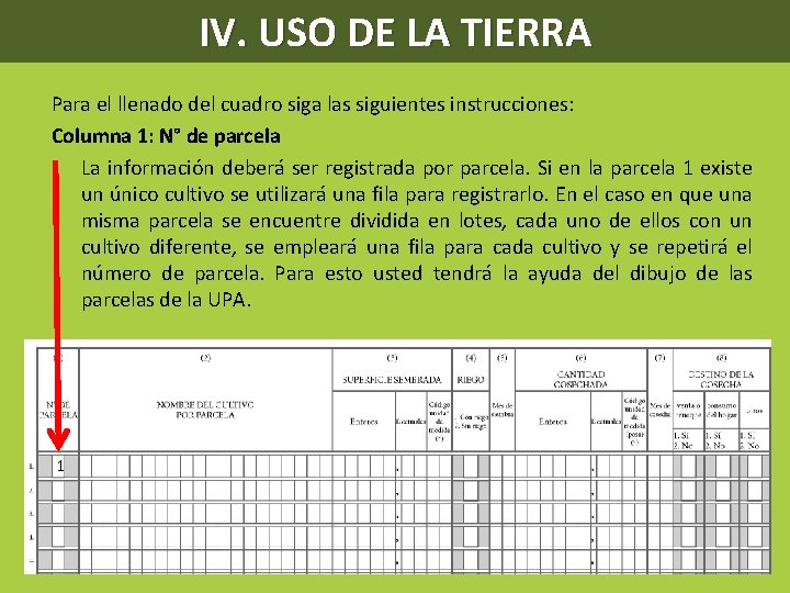 IV. USO DE LA TIERRA Para el llenado del cuadro siga las siguientes instrucciones: