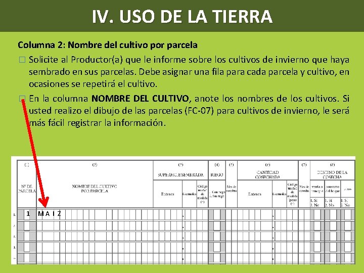 IV. USO DE LA TIERRA Columna 2: Nombre del cultivo por parcela � Solicite