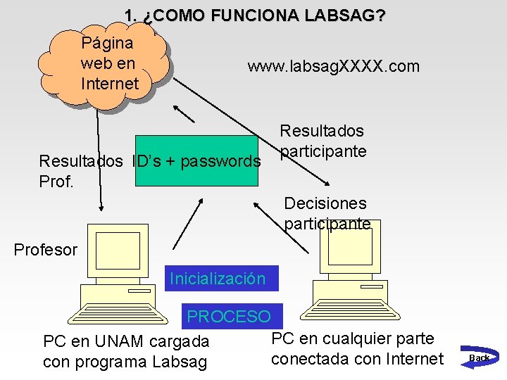 1. ¿COMO FUNCIONA LABSAG? Página web en Internet www. labsag. XXXX. com Resultados ID’s