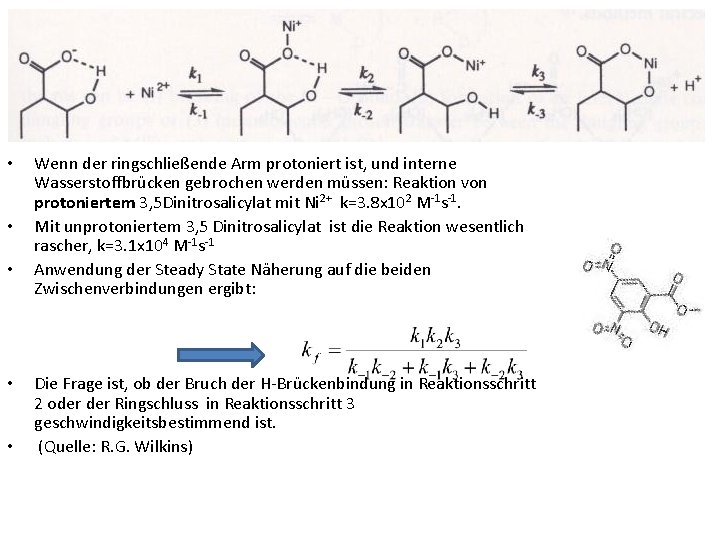  • • • Wenn der ringschließende Arm protoniert ist, und interne Wasserstoffbrücken gebrochen