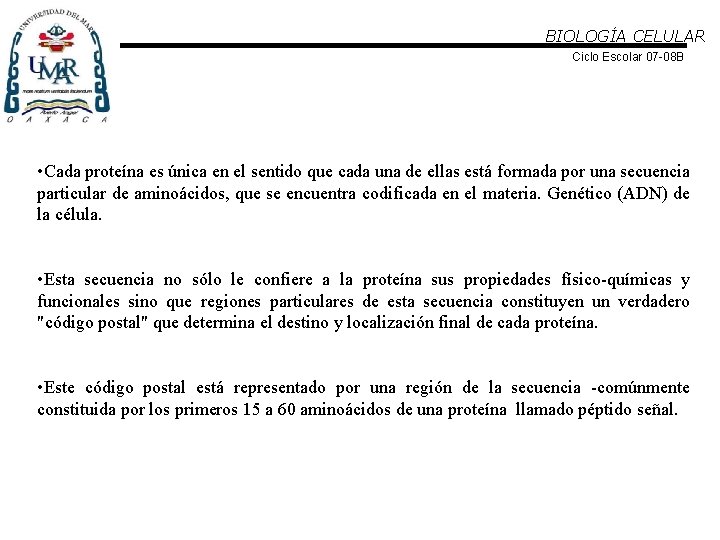 BIOLOGÍA CELULAR Ciclo Escolar 07 -08 B • Cada proteína es única en el