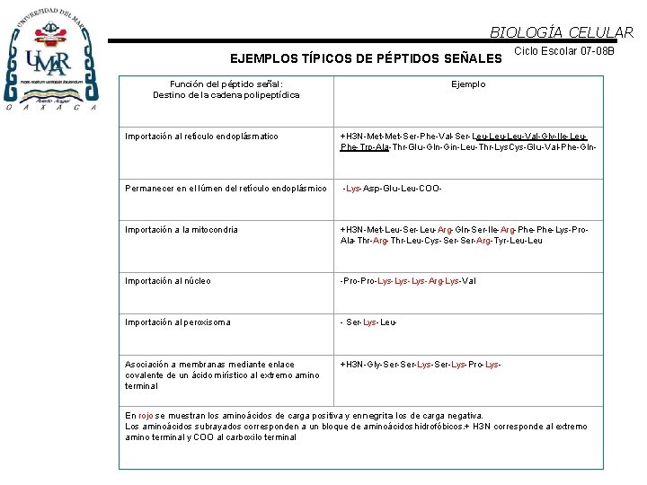 BIOLOGÍA CELULAR EJEMPLOS TÍPICOS DE PÉPTIDOS SEÑALES Función del péptido señal: Destino de la
