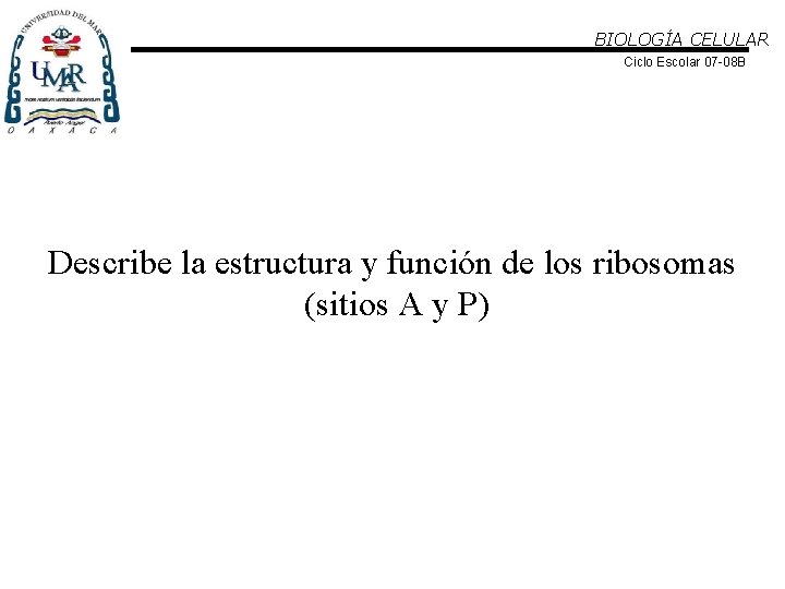 BIOLOGÍA CELULAR Ciclo Escolar 07 -08 B Describe la estructura y función de los