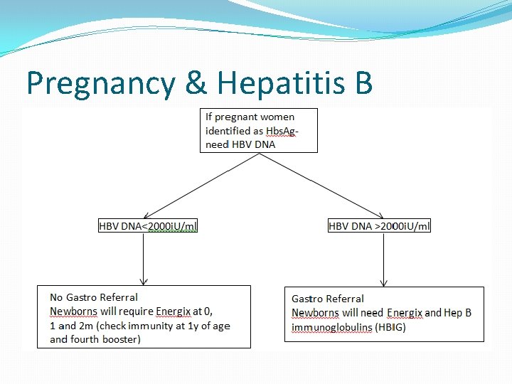 Pregnancy & Hepatitis B 