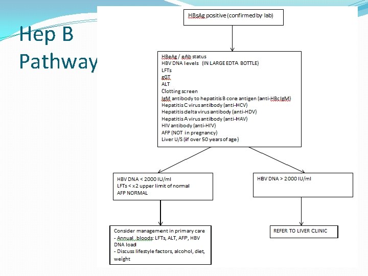 Hep B Pathway 