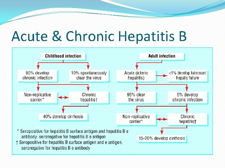 Acute & Chronic Hepatitis B 