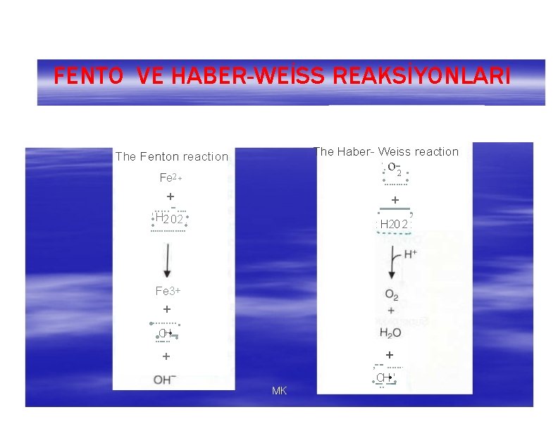 FENTO VE HABER-WEİSS REAKSİYONLARI The Fenton reaction Fe 2+ + . . . -.