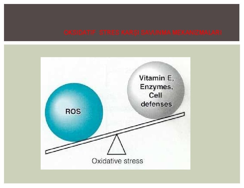 OKSIDATIF STRES KARŞI SAVUNMA MEKANIZMALARI 