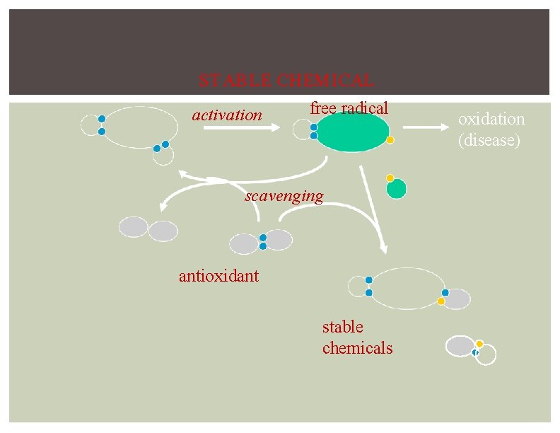 STABLE CHEMICAL activation free radical scavenging antioxidant stable chemicals oxidation (disease) 