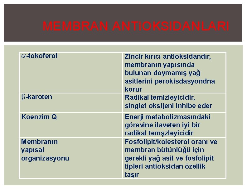 MEMBRAN ANTIOKSIDANLARI α-tokoferol β-karoten Koenzim Q Membranın yapısal organizasyonu Zincir kırıcı antioksidandır, membranın yapısında